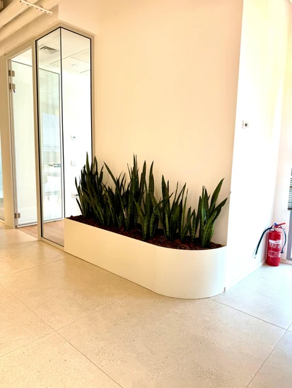 אדנית בעיצוב אישי