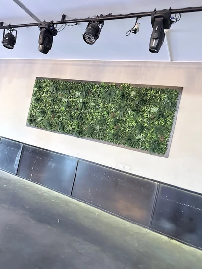 קיר ירוק מלאכותי 550 ש"ח לפי מטר