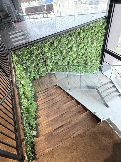 קיר ירוק 550 ש"ח למטר מרובע