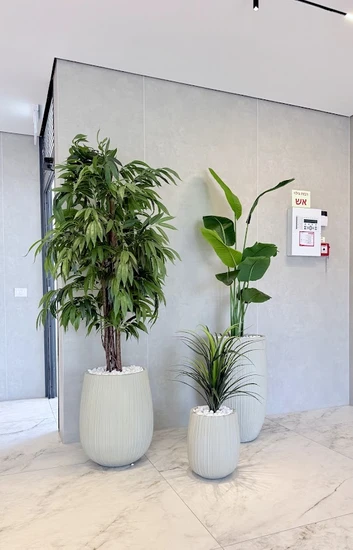 סט שלישיה מיוחד