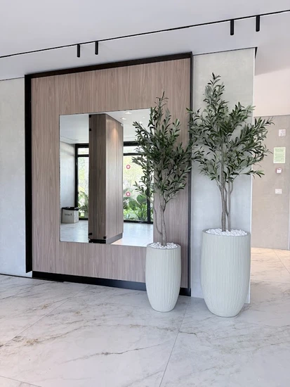 סט עצי זית בכד בטון מחורץ